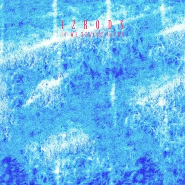 12 Rods - If We Stayed Alive LP (In Store Only)