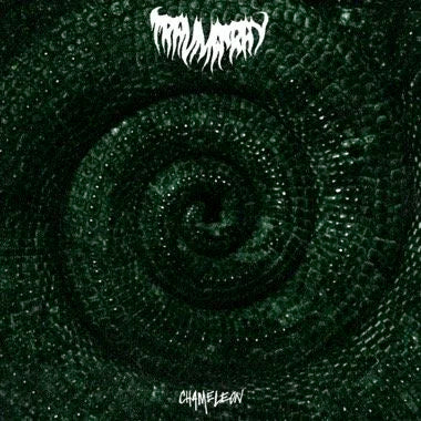 trauma ray - Chameleon LP